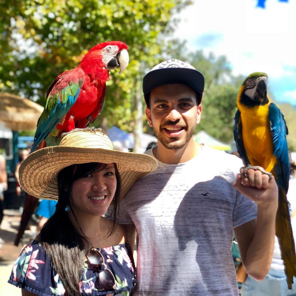 Meet your Posher, An